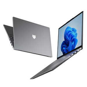 Maxbook X17功率